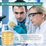 AAwipes Mold Test Kit with Identification Guide