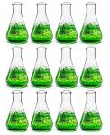EISCO 12-Pack 100mL Borosilicate Erlenmeyer Flasks