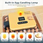 56 Egg Incubator with Automatic Turner and Candler