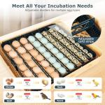 56 Egg Incubator with Automatic Turner and Candler