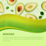 OVERTURE Avocado 1.75mm Rainbow PLA Filament 1kg