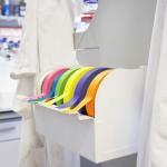 Glenmal 6 Rolls Colorful Lab Labeling Tape 164ft