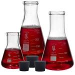 Erlenmeyer Flask Set with Rubber Stoppers - 3 Sizes