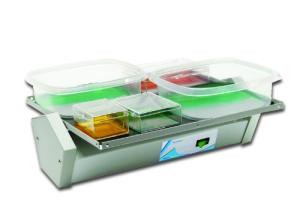 Benchmark Scientific BR1000 Fixed Speed Lab Rocker