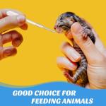 1000 Disposable Graduated Plastic Transfer Pipettes