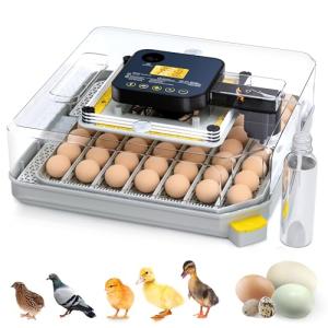Besly 48 Egg Incubator with Automatic Turning