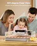 Besly 48 Egg Incubator with Automatic Turning