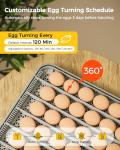 Besly 48 Egg Incubator with Automatic Turning