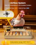 Besly 48 Egg Incubator with Automatic Turning