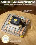 Besly 48 Egg Incubator with Automatic Turning