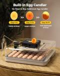 Besly 48 Egg Incubator with Automatic Turning