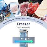 ICECASA 27" Commercial Stainless Steel Freezer