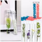 30ml Plastic Test Tubes with Screw Caps - 6 Pack