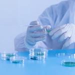 Clear Plastic Petri Dishes with Lids - 24 Count