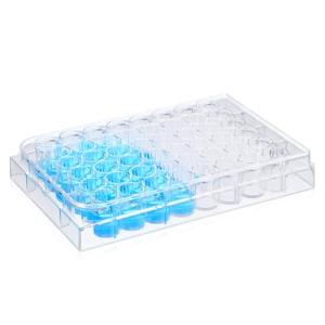 48-Well Cell Culture Plate with Lid, Clear Plastic