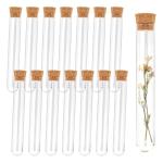 Clear Plastic Test Tubes with Cork Stoppers, 15 Pcs