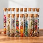Clear Plastic Test Tubes with Cork Stoppers, 15 Pcs