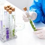 Clear Plastic Test Tubes with Cork Stoppers, 15 Pcs