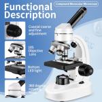 Adult Compound Microscope with WF10x and WF25x Eyepieces