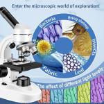 Adult Compound Microscope with WF10x and WF25x Eyepieces