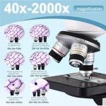 Adult Compound Microscope with WF10x and WF25x Eyepieces