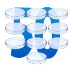 Transparent Petri Dishes with Lid - 50 Pack