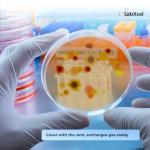 Transparent Petri Dishes with Lid - 50 Pack