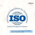 Transparent Petri Dishes with Lid - 50 Pack