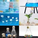 100ml Graduated Glass Erlenmeyer Flask Set