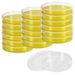 20 Pack Sterile Plastic Petri Dishes with Lids