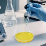 20 Pack Sterile Plastic Petri Dishes with Lids