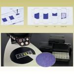 Disposable Cell Counting Plates - 10 Pack