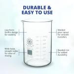 500 mL Low Form Griffin Beaker with Spout