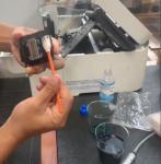 Wellgler 5.1" Foam Cleaning Swabs (300 pcs)