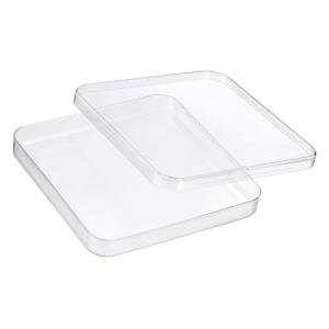 Patikil Clear Square Petri Dishes with Lids