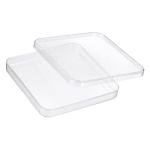Patikil Clear Square Petri Dishes with Lids
