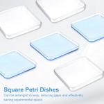 Patikil Clear Square Petri Dishes with Lids