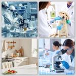 30 Pack Disposable Insulin Syringes with Needles