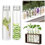 50 PCS Clear Plastic Test Tubes with Caps