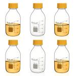 500ml Borosilicate Glass Media Storage Bottles - Pack of 6