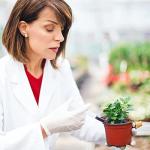 30 Pack of 30ml Sterile Plastic Syringes