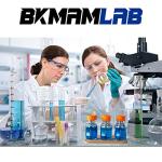 BKMAMLAB 250ml Borosilicate Media Storage Bottles