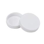 Deschem 110mm PTFE Petri Dish with Cover