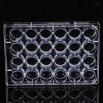24-Well Tissue Culture Plate - Pack of 10