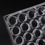 24-Well Tissue Culture Plate - Pack of 10