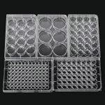 24-Well Tissue Culture Plate - Pack of 10