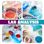 60 Pcs Orange Plastic Petri Dishes with Lids