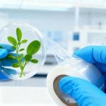 Adnee Clear Petri Dish Sealing Film Roll