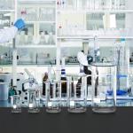 5-Piece High Form Glass Beaker Set