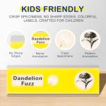 48-Piece Prepared Microscope Slides Set for Students